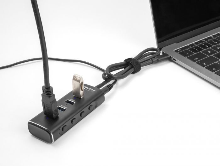 DeLock 4 Port USB 10 Gbps Hub with USB Type-C connector 60 cm Cable and Switch for each port