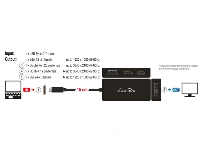 DeLock USB Type-C male > VGA/HDMI/DVI/DisplayPort female adapter Black