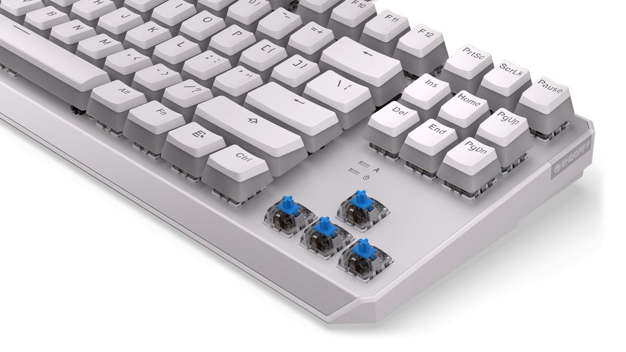 Endorfy Thock TKL Blue Switch Mechanical Keyboard Pudding Onyx White US