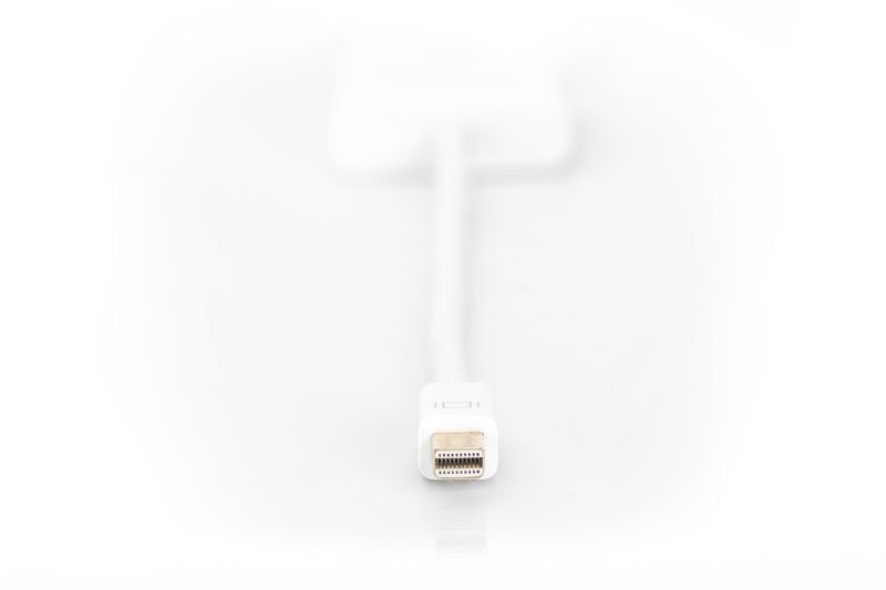 Assmann miniDisplayPort - DVI-I (Dual Link) Adapter/Converter cable 0,15m White