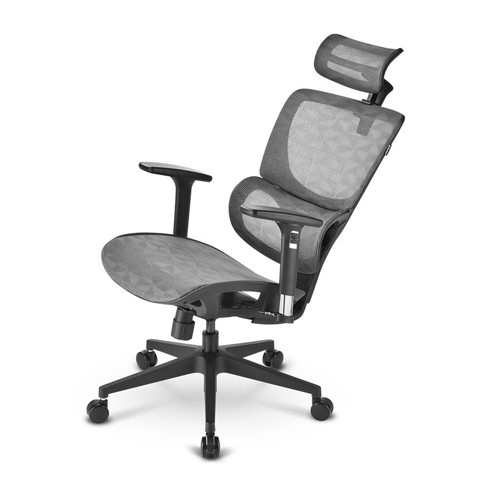 Sharkoon OfficePal C30M Gaming Chair Gray