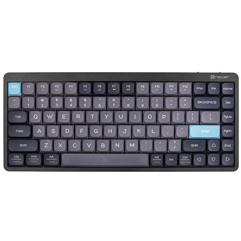 Tracer FINA 84 GameZone Red Switch Rainbow Mechanical Keyboard Blackcurrant US
