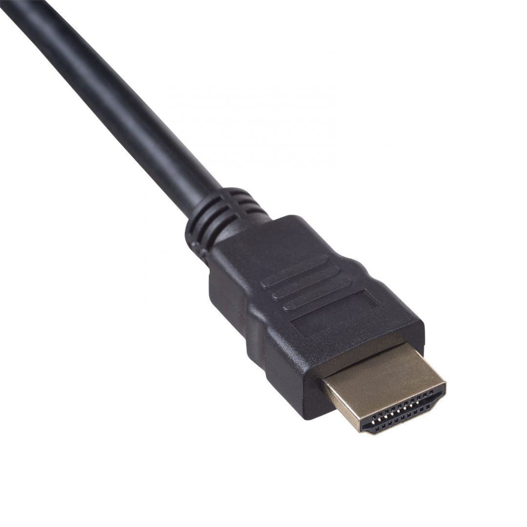 Akyga AK-AV-13 HDMI / DVI-D (Dual Link) (24+1) Cable 3m Black
