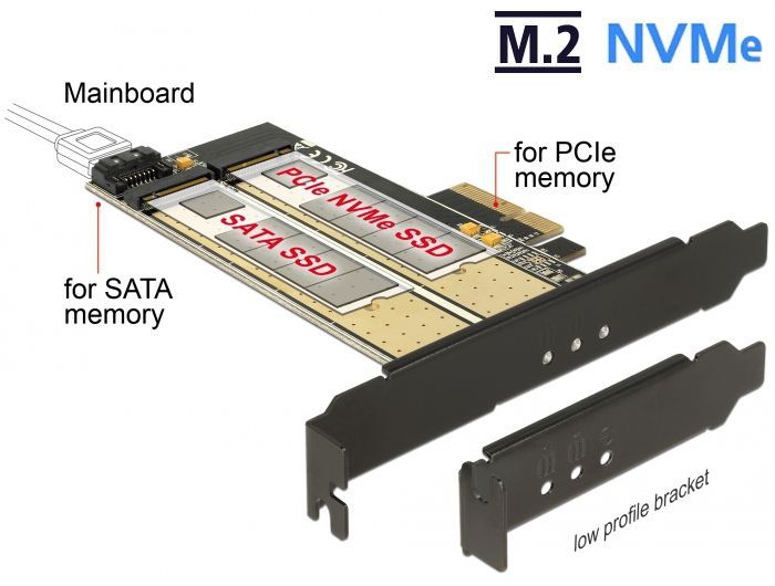 DeLock PCI Express x4 Card > 1x internal M.2 Key B + 1x internal NVMe M.2 Key M Low Profile Form Factor