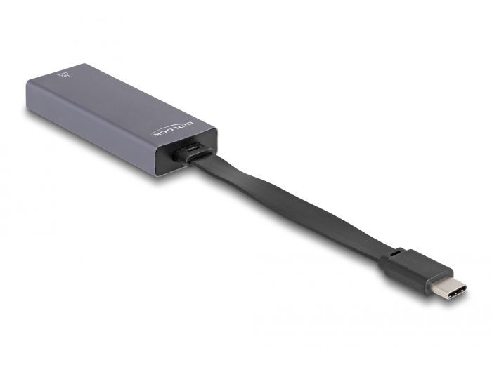 DeLock USB Type-C Adapter to 2.5 Gigabit LAN slim
