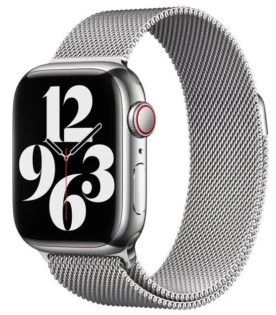Apple Watch 41mm Band: Silver Milanese Loop