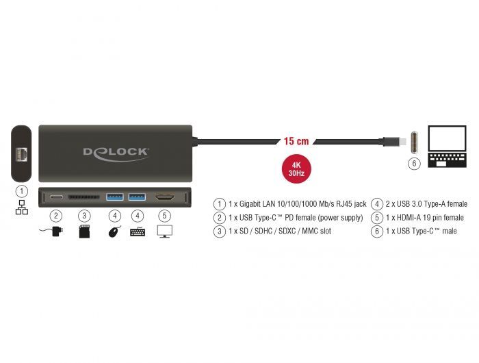 DeLock USB Type-C 3.1 Docking Station HDMI 4K 30Hz Gigabit LAN and USB PD function