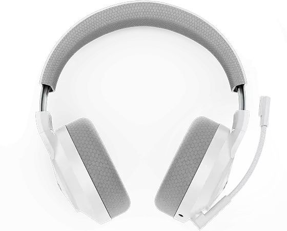 Lenovo Legion H600 Wireless Gaming Headset Stingray