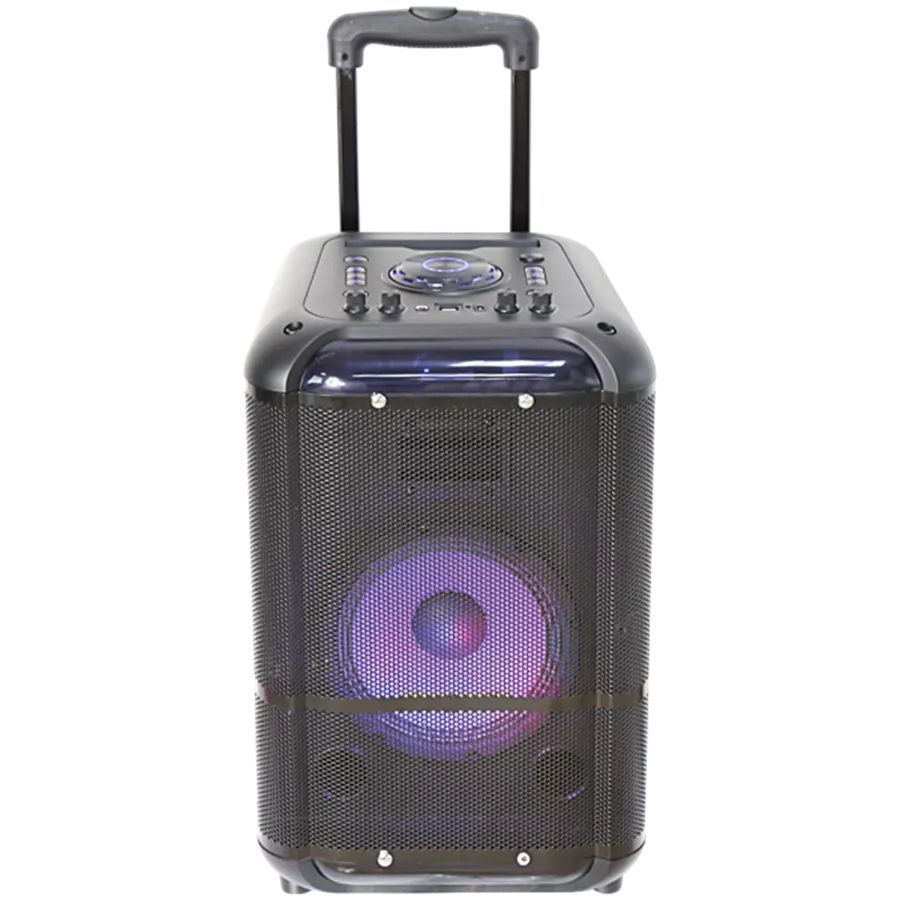 Denver TSP-306 8” Bluetooth trolley speaker Black
