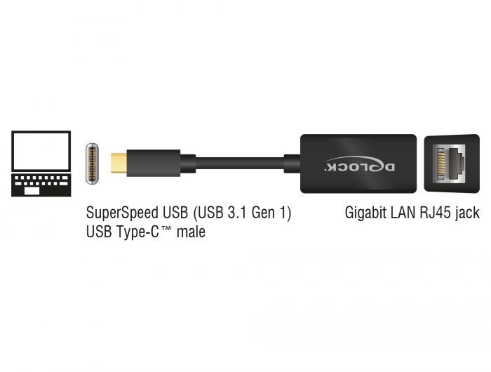 DeLock SuperSpeed USB (USB 3.1 Gen 1) with USB Type-C™ male > Gigabit LAN 10/100/1000 Mbps compact Black Adapter