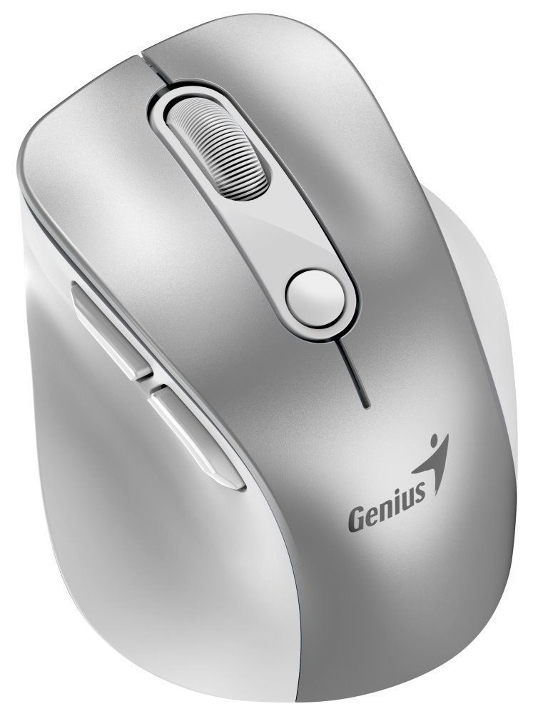 Genius Ergo 9000S Pro Wireless mouse Silver