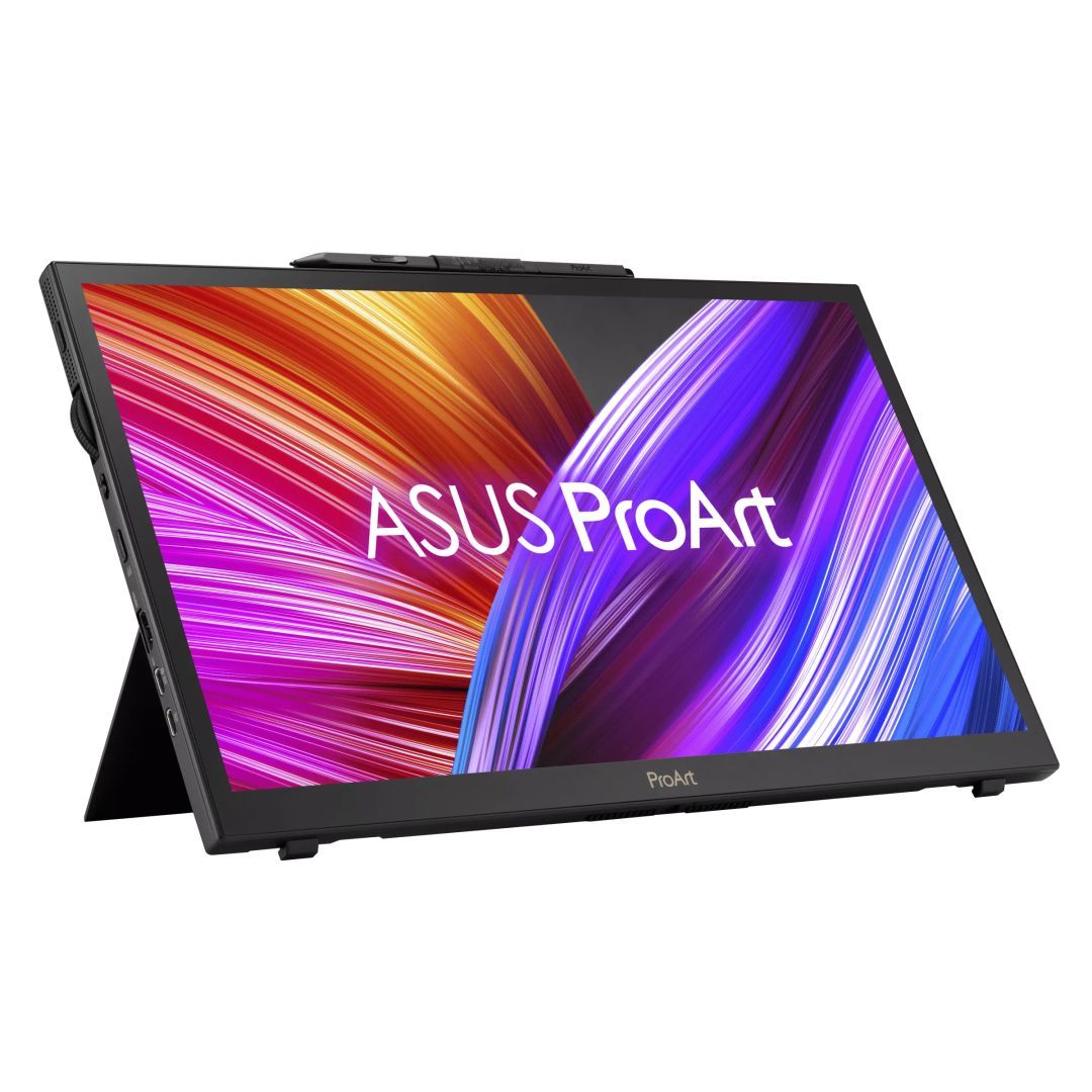 Asus 15,6" PA169CDV IPS LED Display