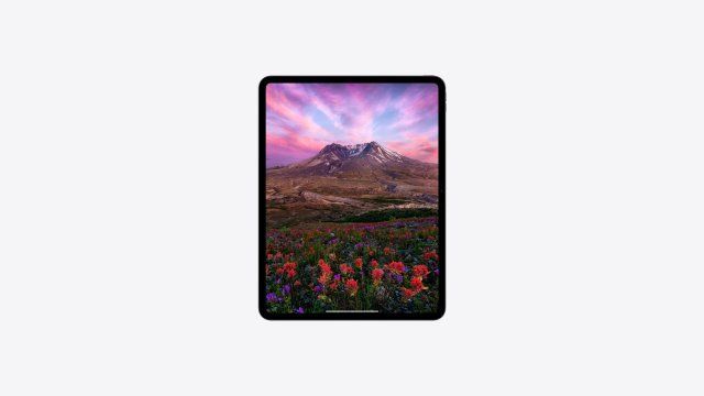 Apple iPad Pro (2024) 13" 2TB Wi-Fi with Standard glass Space Black