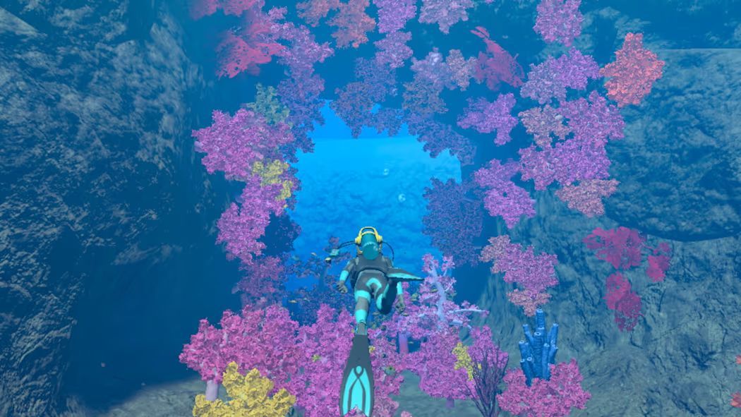 Nintendo Endless Ocean Luminous (NSW)