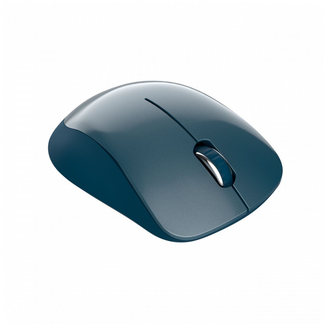 Canyon CNE-CMSW11BL Wireless mouse Blue