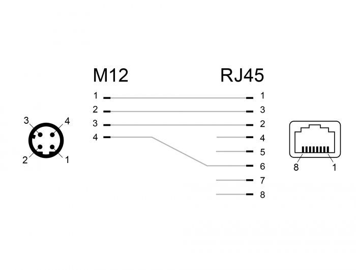 DeLock Network Adapter M12 4 pin D-coded male to RJ45 jack