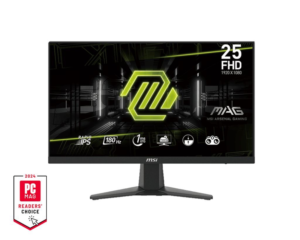 Msi 24,5" MAG 256F IPS LED