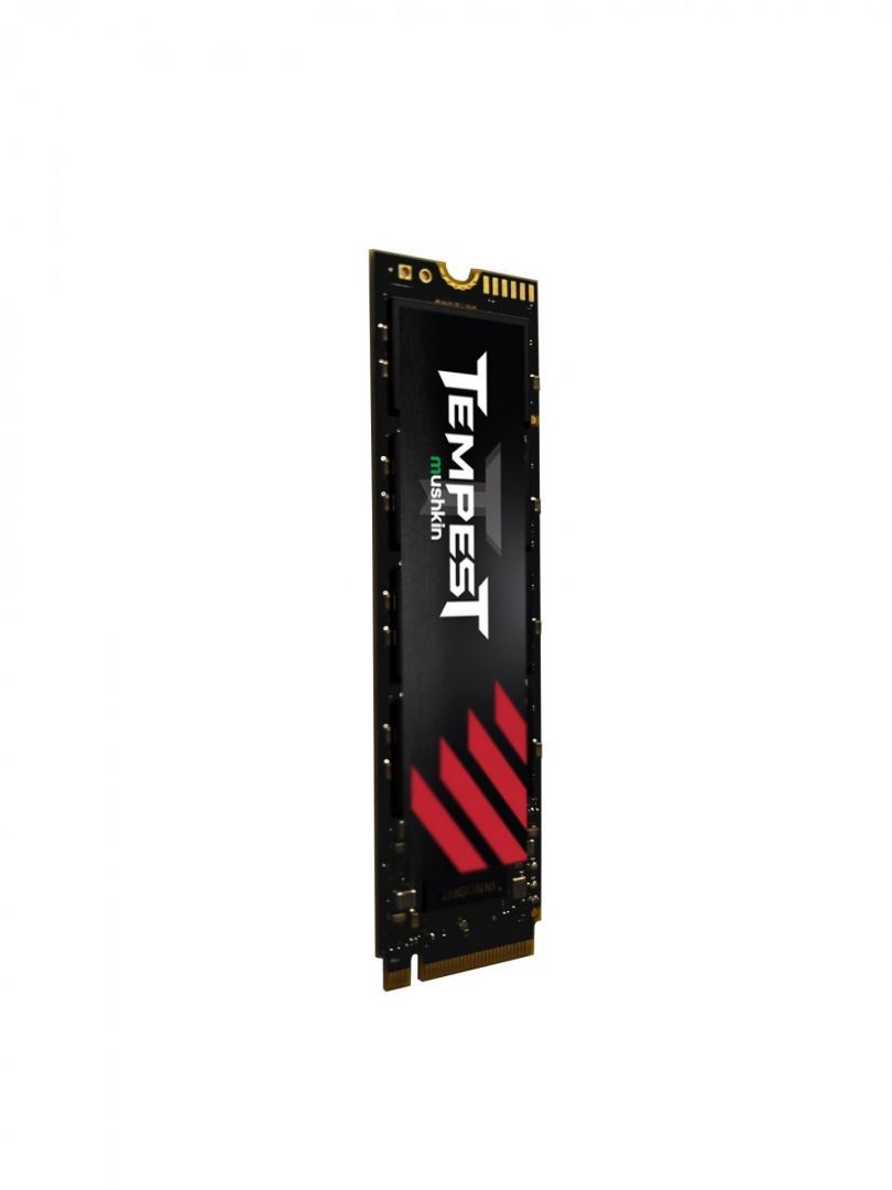 Mushkin 256GB M.2 2280 NVMe Tempest