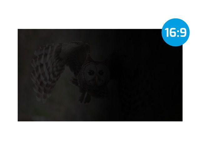 natec Owl Frameless Display Privacy Filter 21,5"