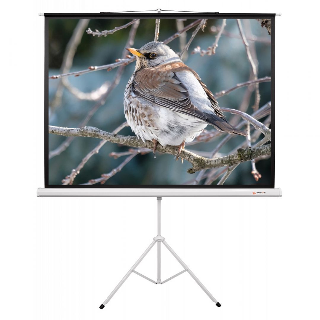 Funscreen Matt White Tripod 150x200 cm Format 4:3