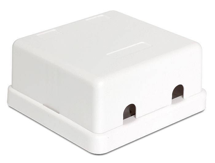 DeLock Keystone Surface Mounted Box 2 Port