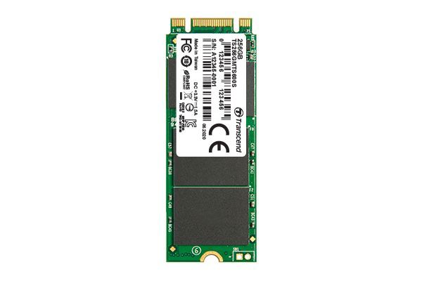 Transcend 256GB M.2 2260 600S