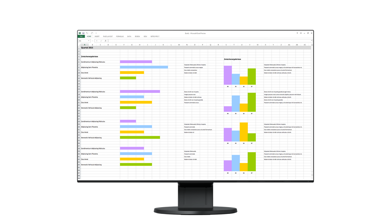 Eizo 24" EV2456-BK IPS LED