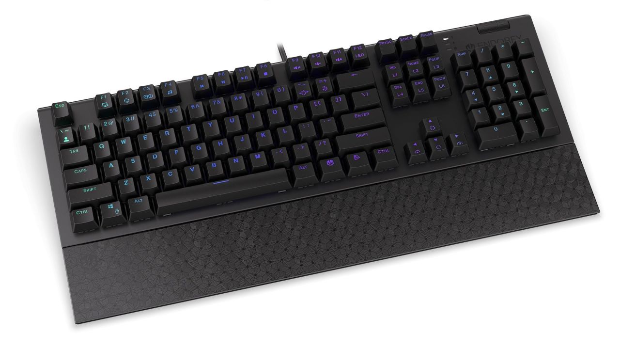 Endorfy Omnis Blue Switch Mechanical Keyboard Black US