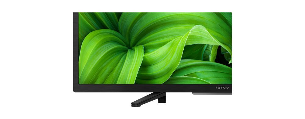 Sony 32" KD32W800P1AEP LED Smart