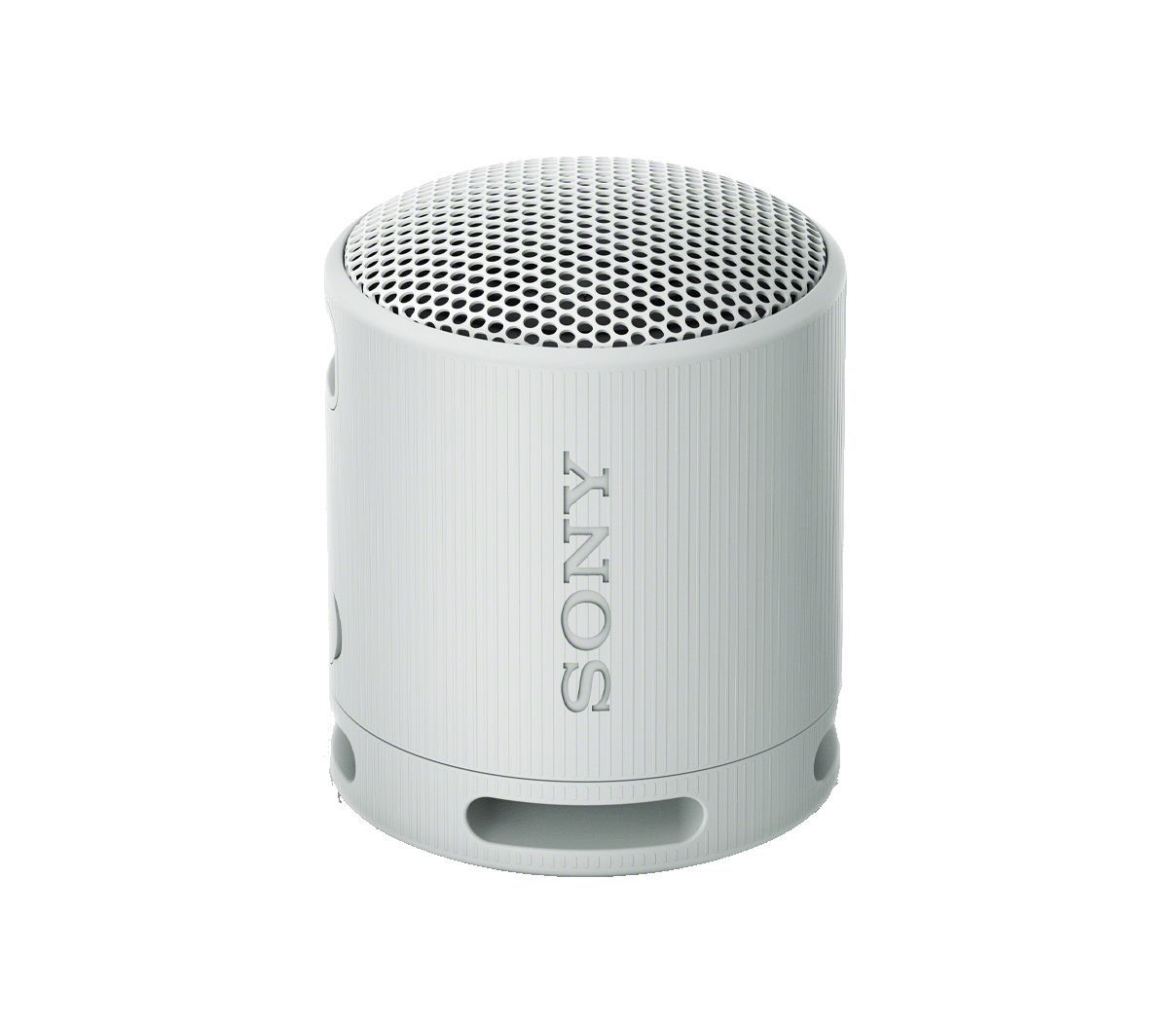 Sony SRSX-B100 Bluetooth Speaker Light Grey