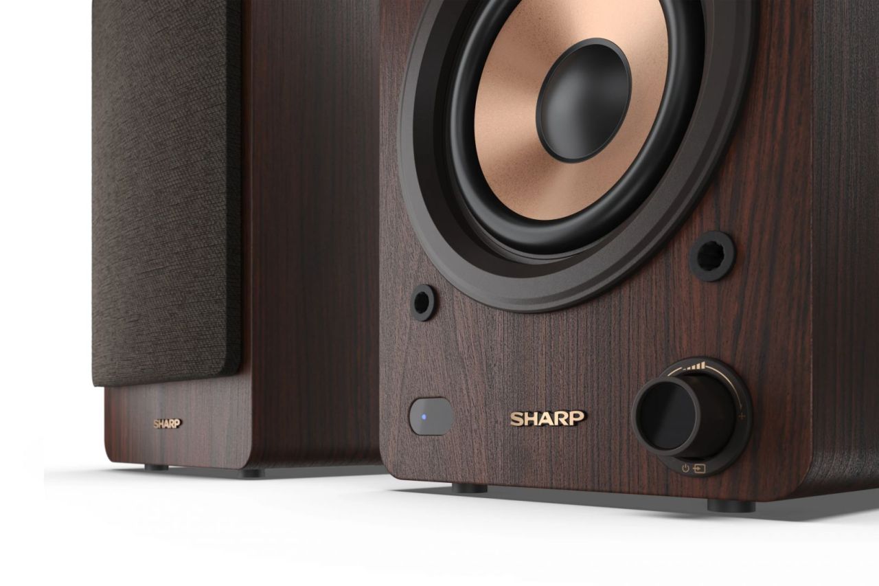 Sharp CP-SS30BR Bookshelf Speaker Brown