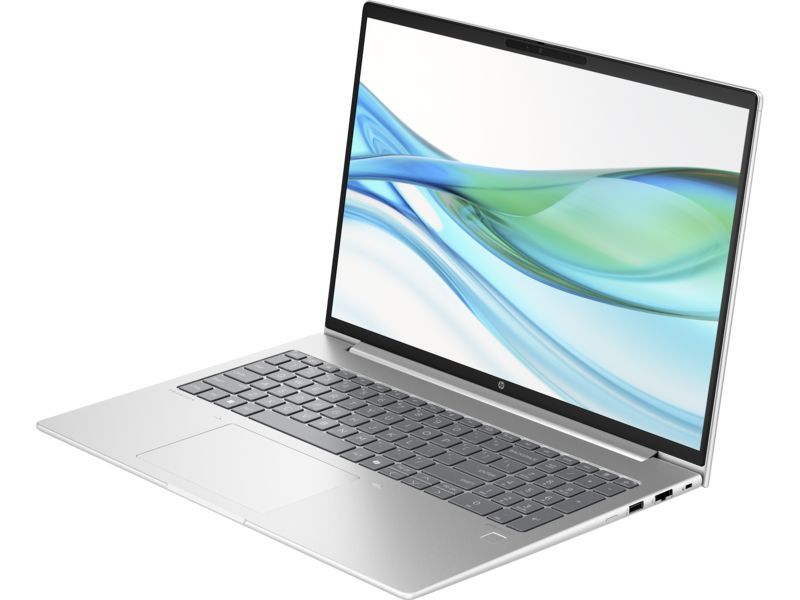 HP ProBook 465 G11 Silver