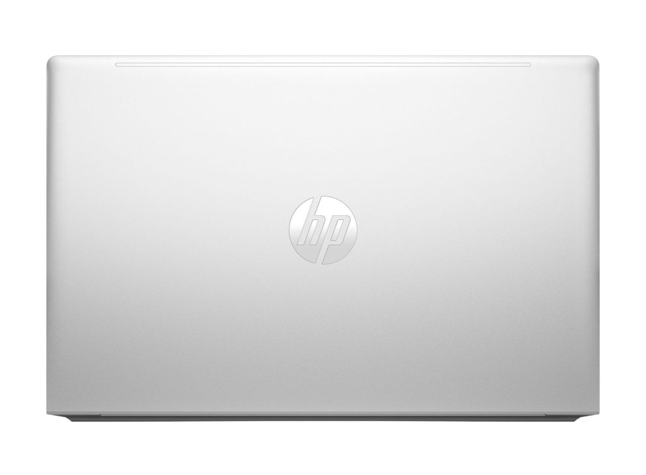 HP ProBook 455 G10 Silver