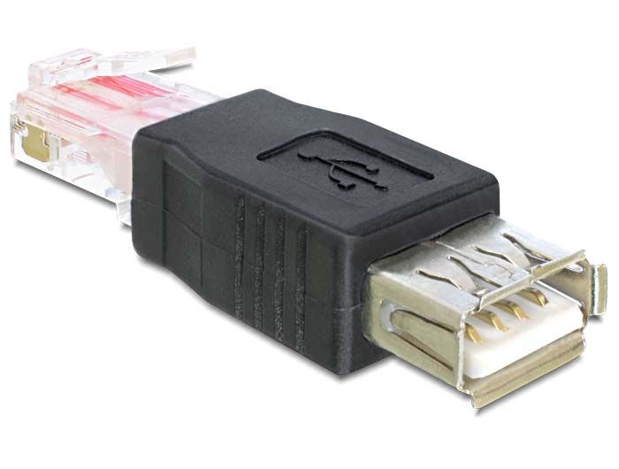 DeLock Adapter USB female > RJ45 male Black