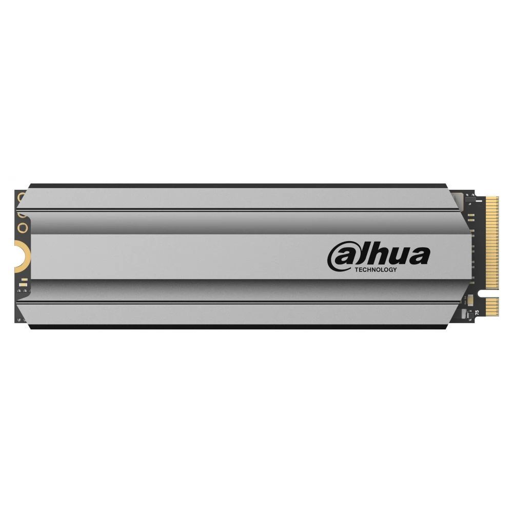 Dahua 256GB M.2 2280 NVMe C900 Plus with Heatsink