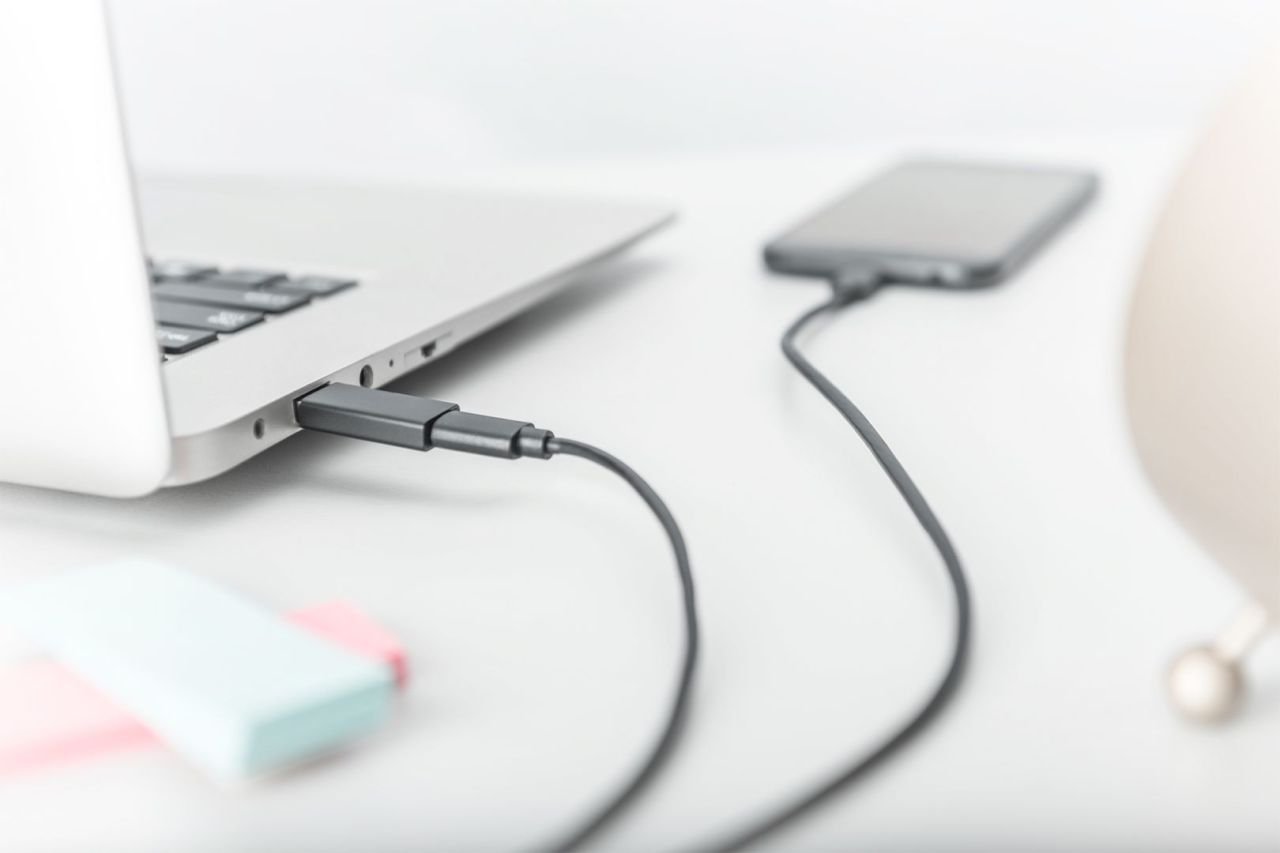 Digitus USB Type-C male/famale adapter Black Digitus USB Type-C male/famale adapter Black