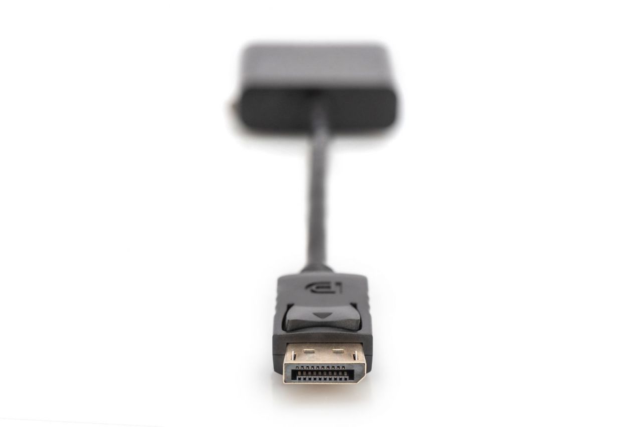 Assmann DisplayPort adapter cable, DP - DVI (24+5) Assmann DisplayPort adapter cable, DP - DVI (24+5)