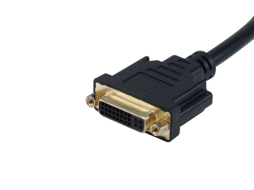 EQuip DisplayPort to DVI-I adapter cable 0,25m Black