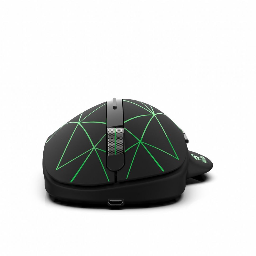 INCA IWM-551 Wireless mouse Black