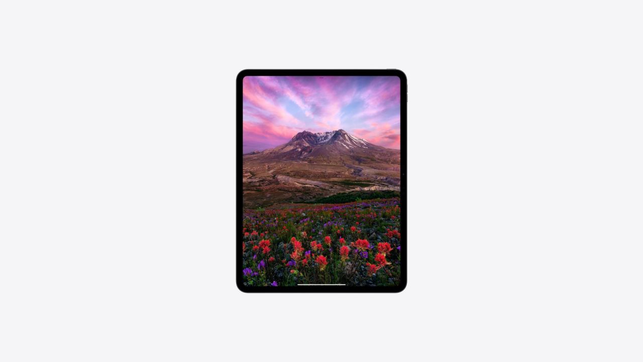 Apple iPad Pro (2024) 13" 512GB Wi‑Fi Cell with Standard glass Space Black