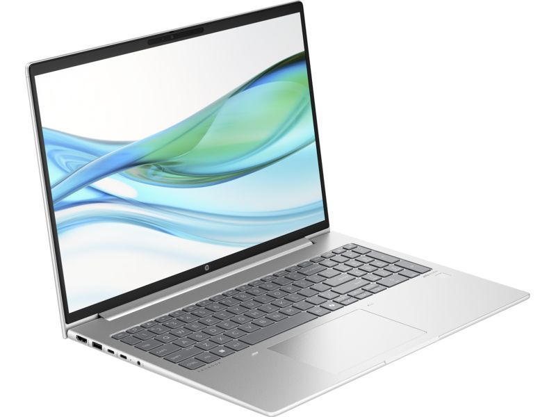 HP ProBook 465 G11 Silver