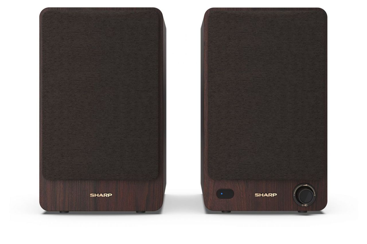 Sharp CP-SS30BR Bookshelf Speaker Brown