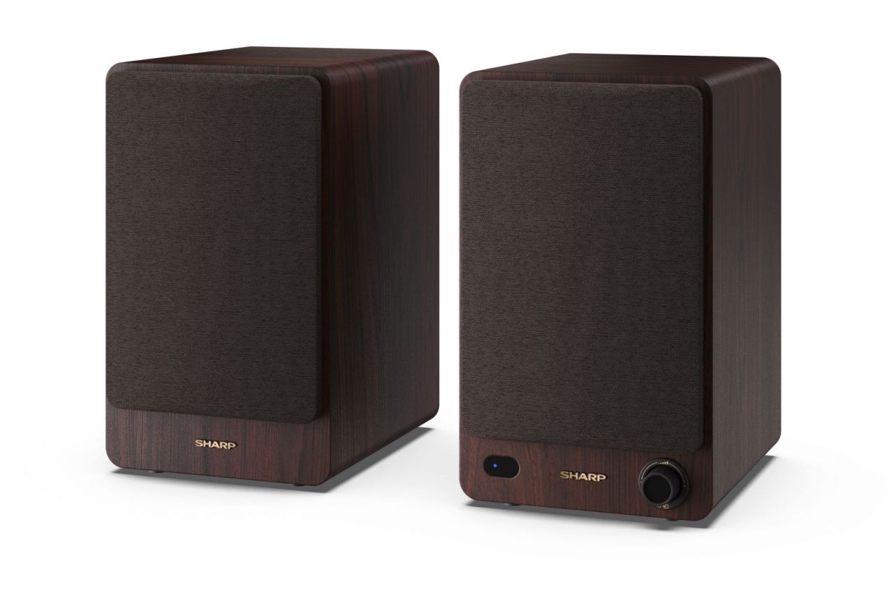 Sharp CP-SS30BR Bookshelf Speaker Brown