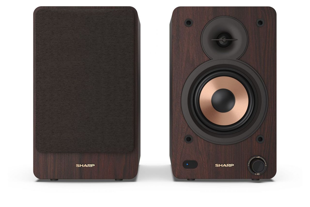 Sharp CP-SS30BR Bookshelf Speaker Brown