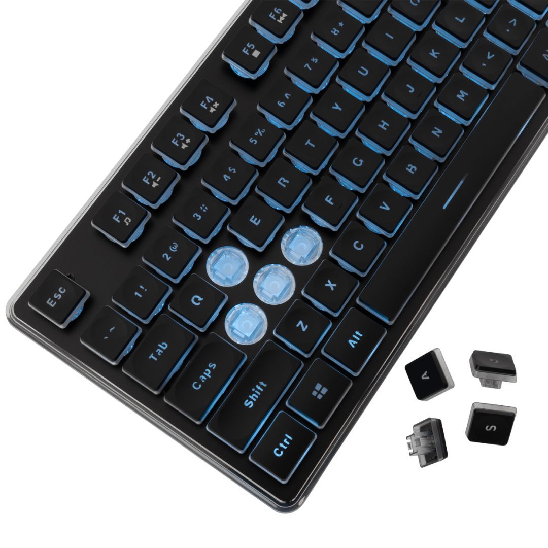 White Shark Tachi Gaming Keyboard Black US White Shark Tachi Gaming Keyboard Black US