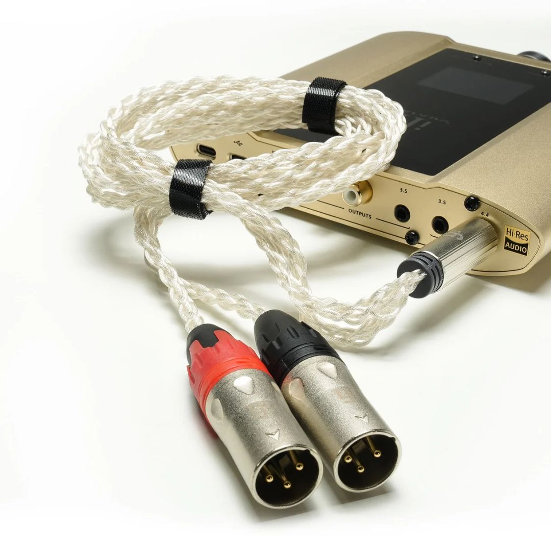 iFi iDSD Valkyrie DAC