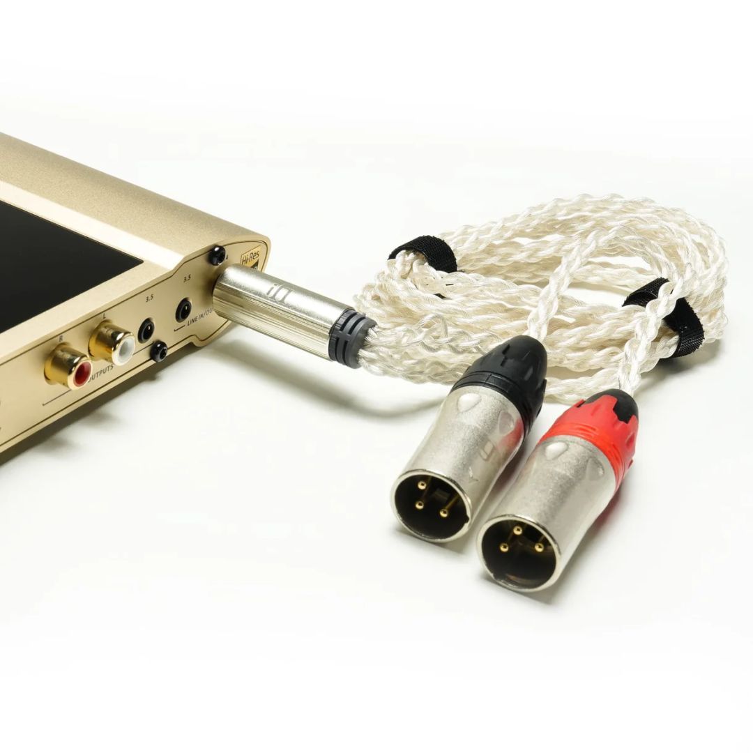 iFi iDSD Valkyrie DAC