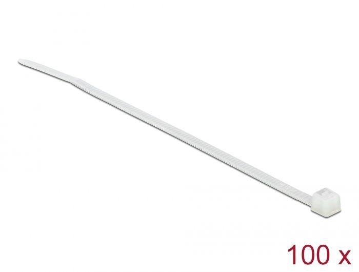 DeLock Cable ties L100xW2,5mm 100 pieces Transparent DeLock Cable ties L100xW2,5mm 100 pieces Transparent