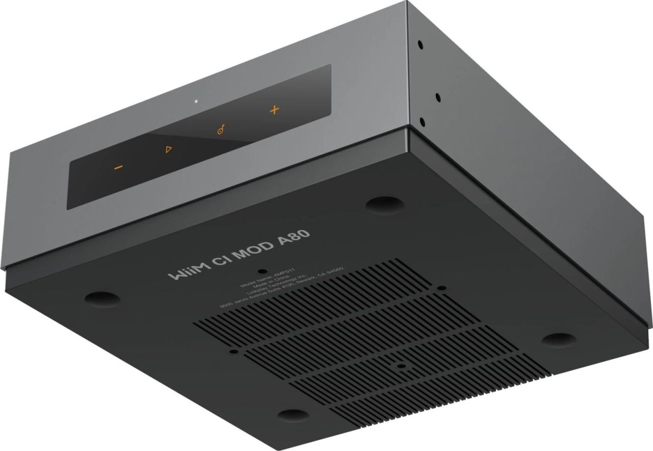WiiM CI AMP MOD A80 WiiM CI AMP MOD A80