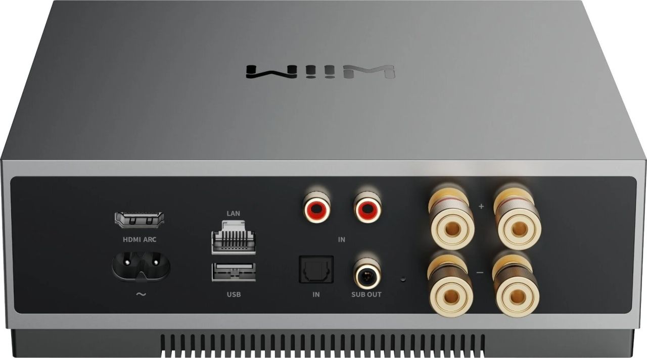 WiiM CI AMP MOD A80 WiiM CI AMP MOD A80